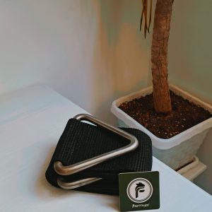 تسمه لیفت گاو